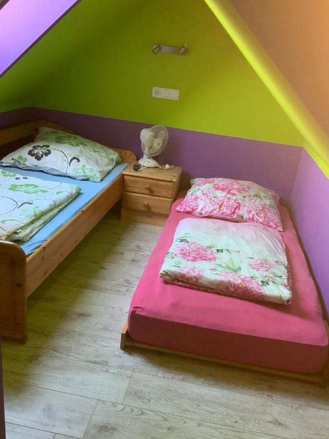 Fewo Neuser Daire Ribnitz-Damgarten Dış mekan fotoğraf